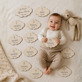 Conjunto de 13 Placas Meses de Nascimento