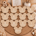 Conjunto de 13 Placas de Nascimento