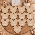 Conjunto de 13 Placas de Nascimento