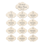 Conjunto de 13 Placas Meses de Nascimento
