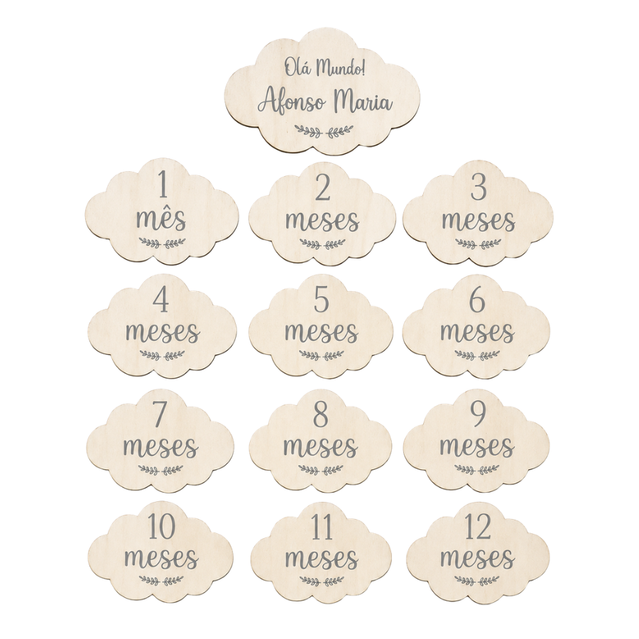 Conjunto de 13 Placas Meses de Nascimento