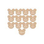 Conjunto de 13 Placas de Nascimento