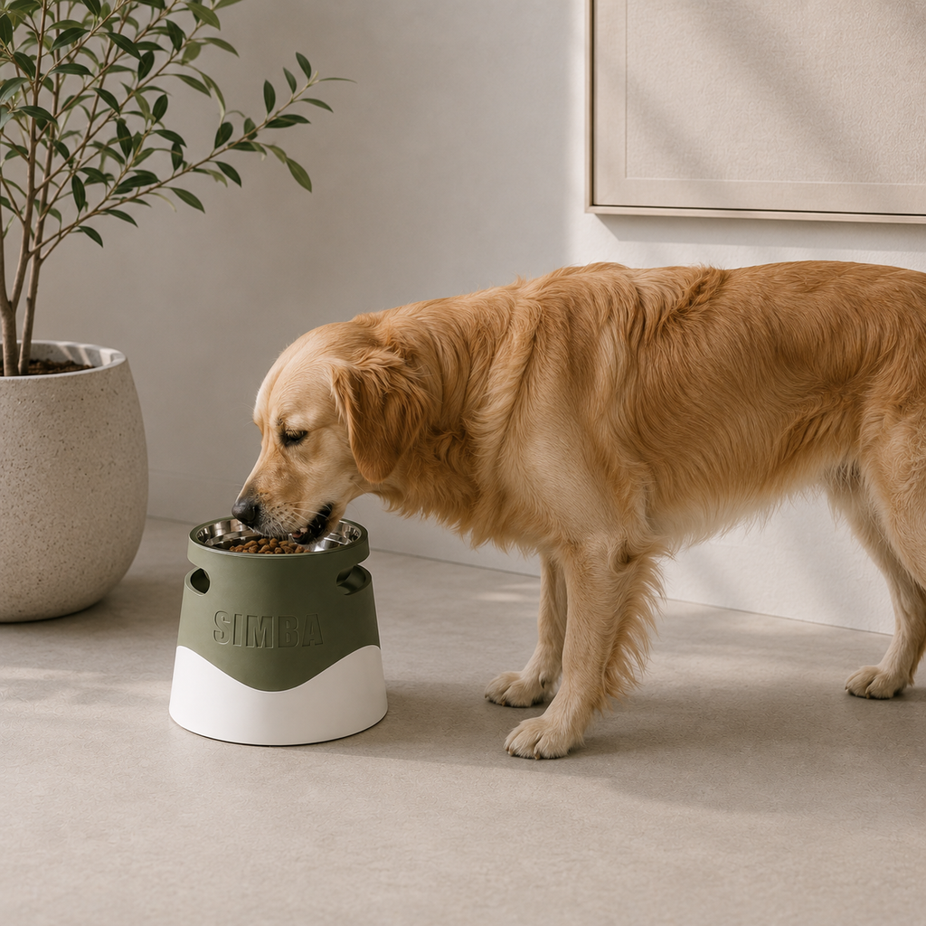 Comedouro Elevado Personalizado para Animais